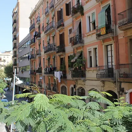 ホステル オスタル オリヴェタ バルセロナ