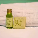 Auberge de jeunesse Oliveta *